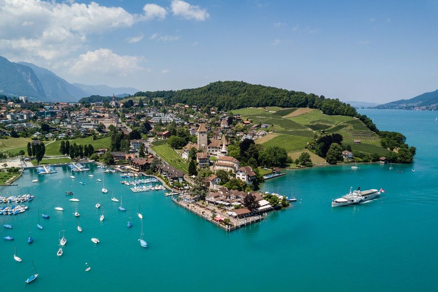 Fantastischer Ausblick auf die schöne Spiezer Bucht mit Segelbooten, dem Schloss Spiez und dem Dampfschiff