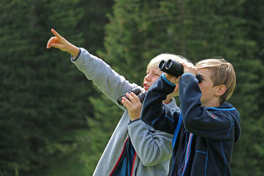 Kinder beobachten mit dem Feldstecher verschiedene Alpentiere und die eindrückliche Natur