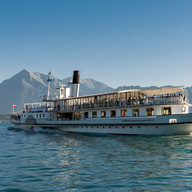 Dampfschiff Blümlisalp vor dem Niesen auf dem Thunersee