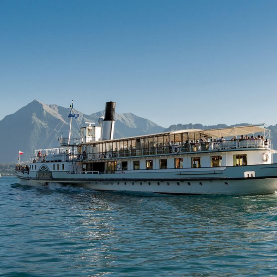 Dampfschiff Blümlisalp vor dem Niesen auf dem Thunersee