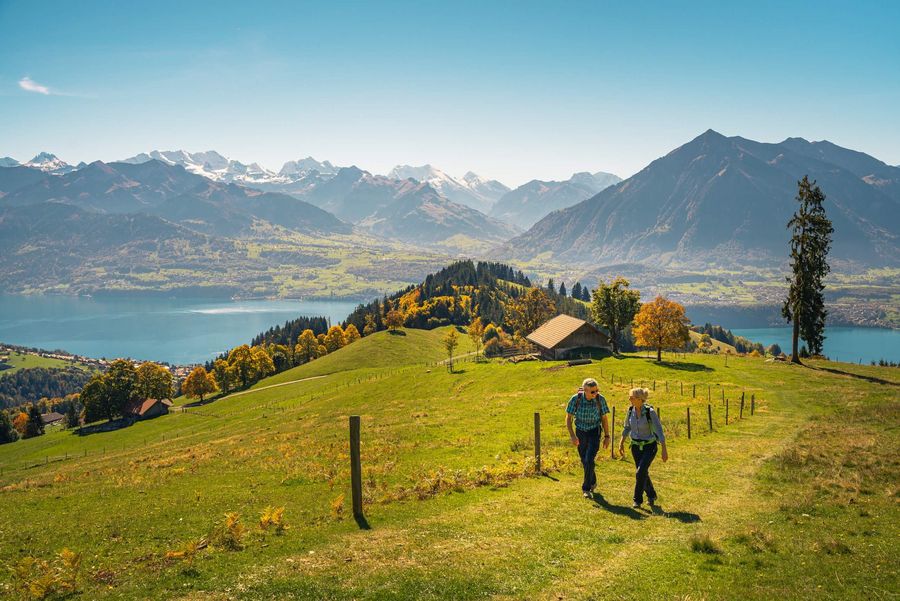 Genusswanderung in Sigriswil im Herbst mit Blick auf den Thunersee und den Niesen