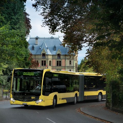 Bus Spiez