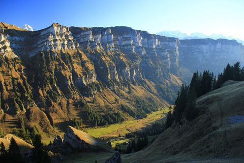 Herbstliches Justistal wo im Herbst die Hirschbrunft beobachtet und gehört werden kann