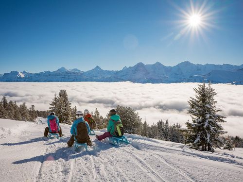 Schlittenfahren über dem Nebelmeer mit Blick auf die Berge und die Wintersonne