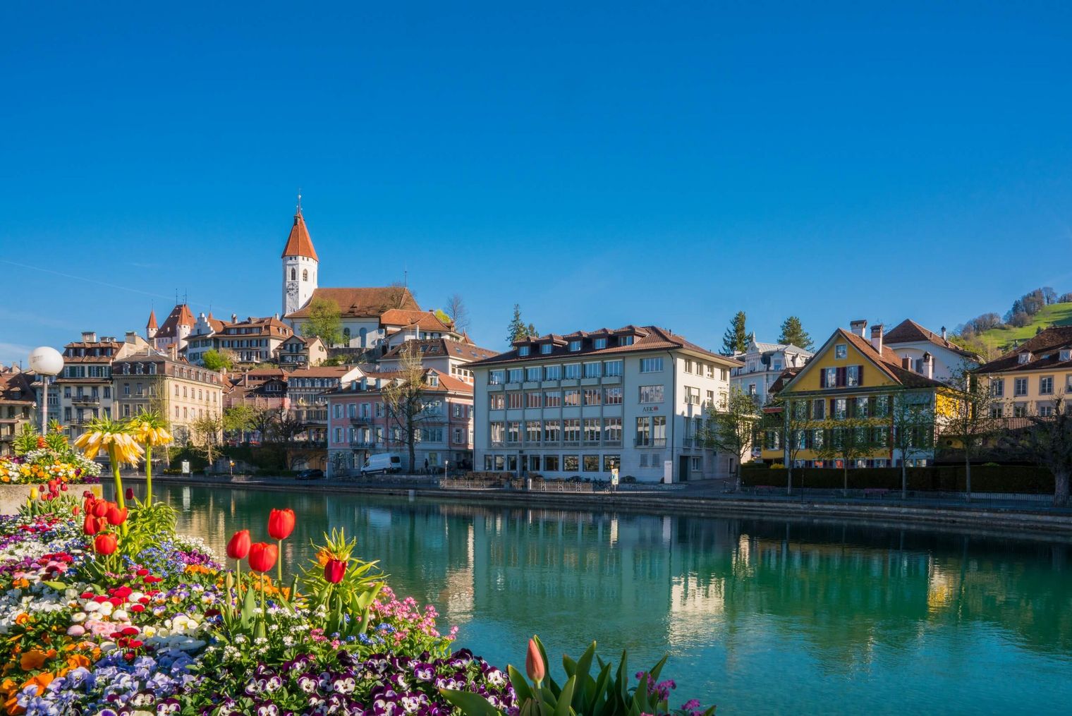 Im Frühling zieren Blumen die Promenaden, die entlang der Aare bis in das Zentrum der Stadt Thun führen