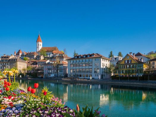 Im Frühling zieren Blumen die Promenaden, die entlang der Aare bis in das Zentrum der Stadt Thun führen