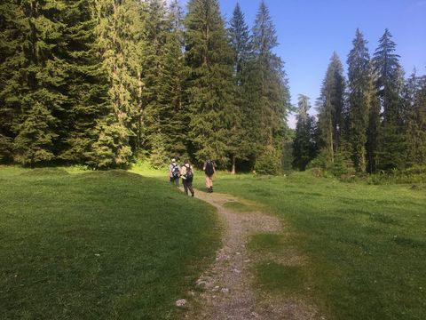 Gruppe unterwegs auf der botanischen Exkursion im Suldtal