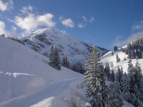 Verschneite Berge und Tannen am Wiriehorn