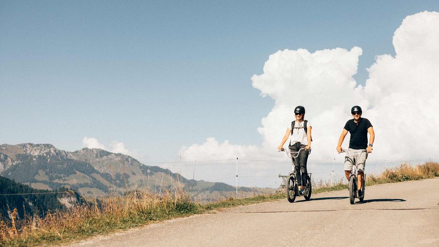 Unterwegs durch eine grüne Alplandschaft auf der Talfahrt vom Wiriehorn